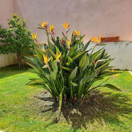 A Casa Da Avo Ana Villa Arneiro das Milharicas Bagian luar foto