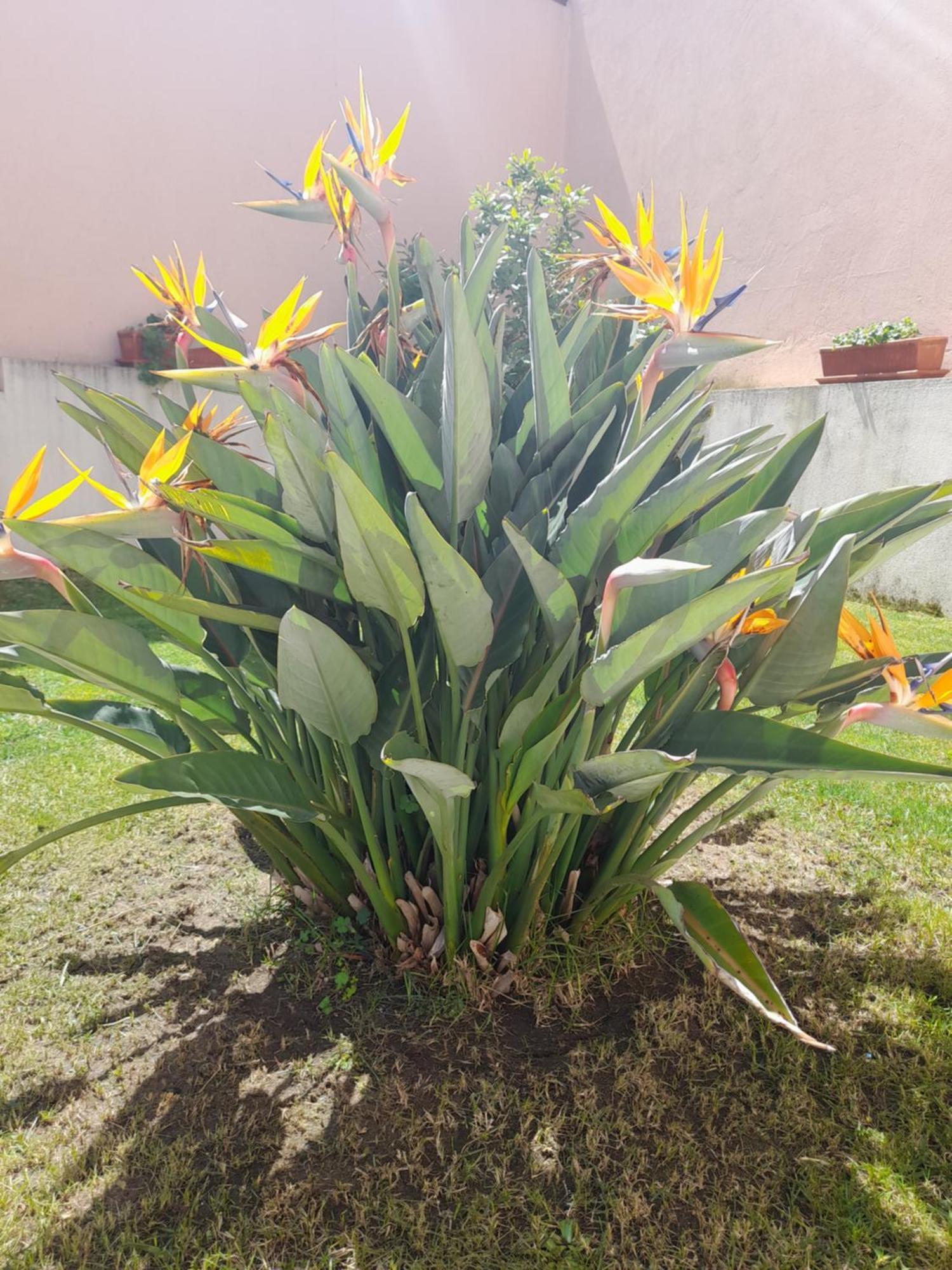 A Casa Da Avo Ana Villa Arneiro das Milharicas Bagian luar foto