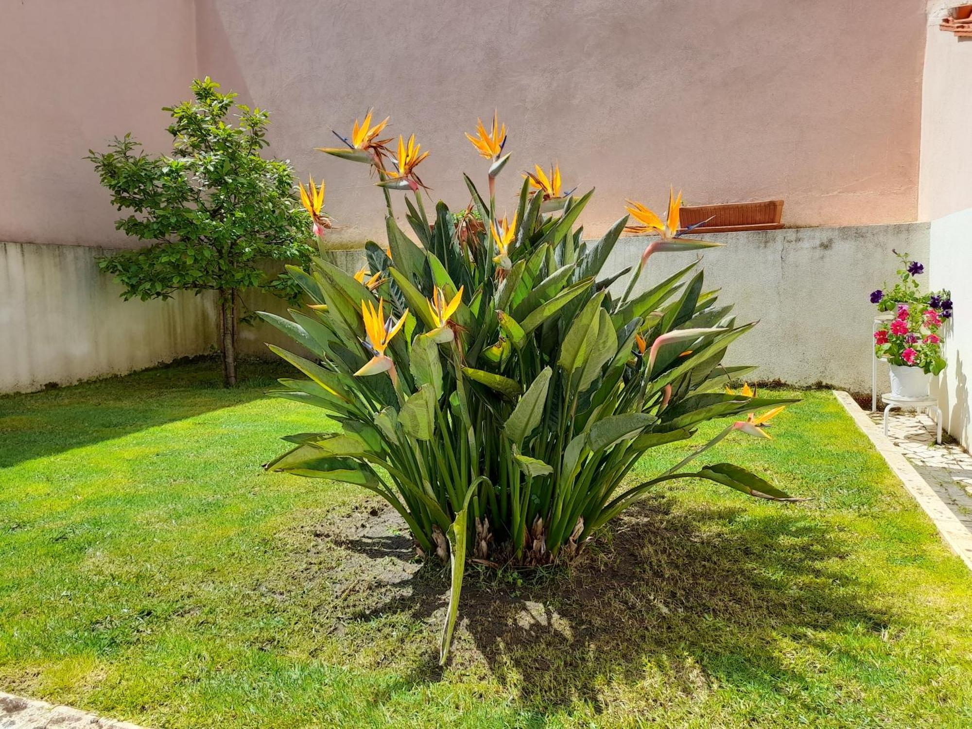 A Casa Da Avo Ana Villa Arneiro das Milharicas Bagian luar foto